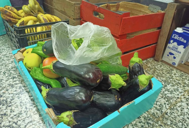 Organic Vegetables Donation from AMAE